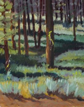 Summer Pines #1