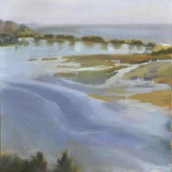 Bolinas Lagoon #1