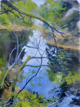 Cataract #1