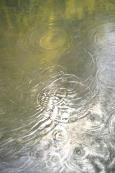 Ripple Effect-Agerine #1