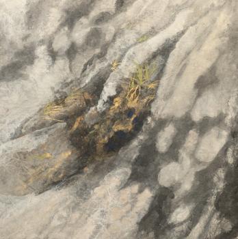 Sentinel #1
