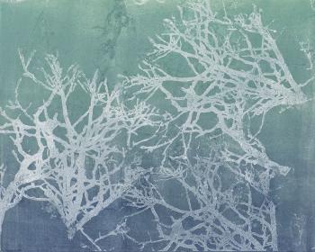 Corals #1
